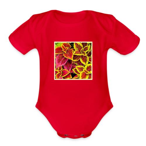 Coleus Leaf Burst Design - Organic Short Sleeve Baby Bodysuit
