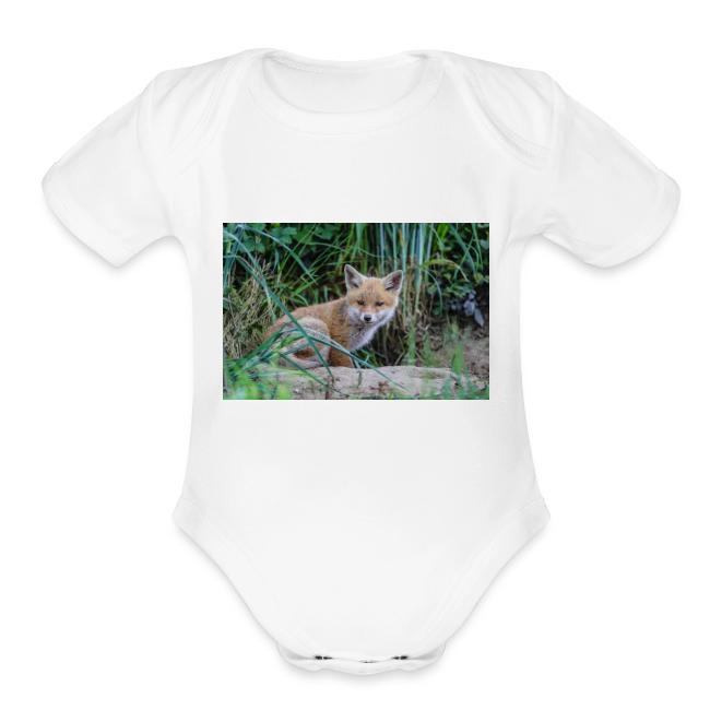 fox