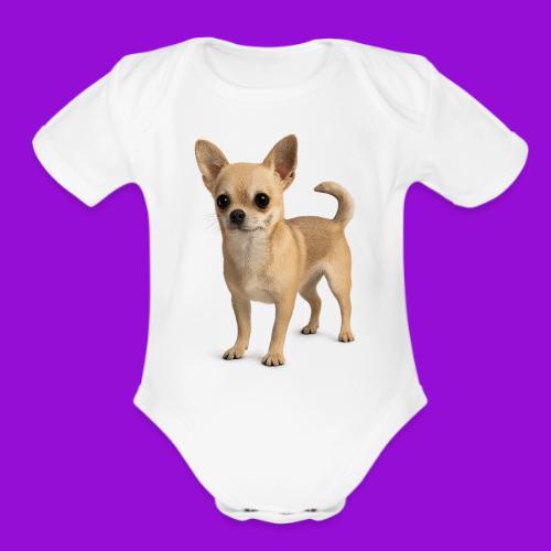 Chihuahua - Organic Short Sleeve Baby Bodysuit