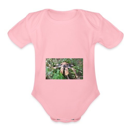 Robber Crab - Organic Short Sleeve Baby Bodysuit