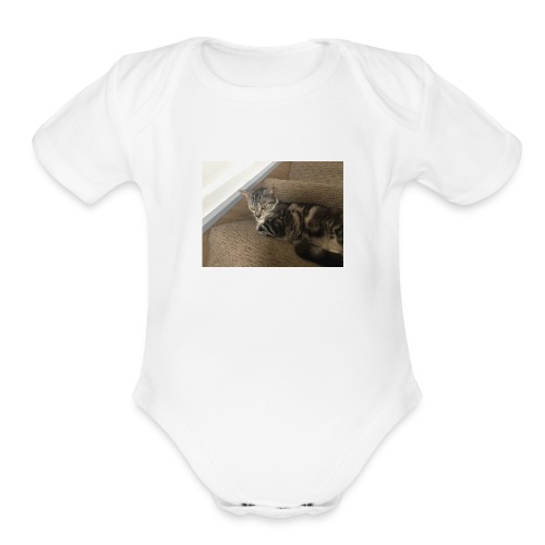 Cat - Organic Short Sleeve Baby Bodysuit