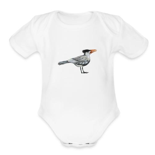 Royal Tern gull - Organic Short Sleeve Baby Bodysuit