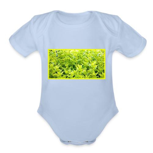 Mint Plants Cute Photo. Buy Now - Organic Short Sleeve Baby Bodysuit