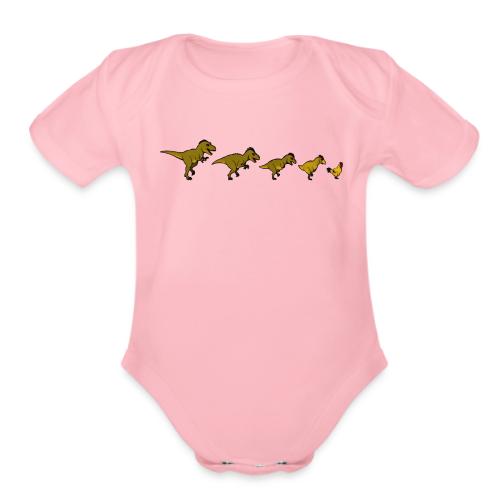 Chicken Evolution - Organic Short Sleeve Baby Bodysuit