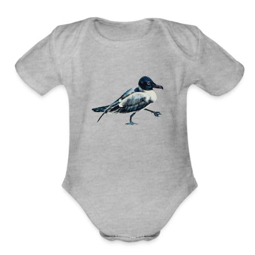 Laughing gull - Organic Short Sleeve Baby Bodysuit