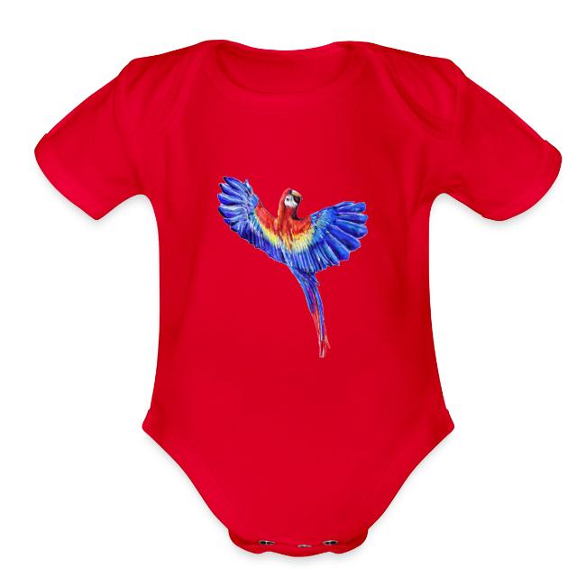 Scarlet macaw parrot