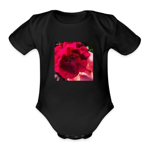 70724F6C 16DF 4695 8243 0286530D0B60 - Organic Short Sleeve Baby Bodysuit