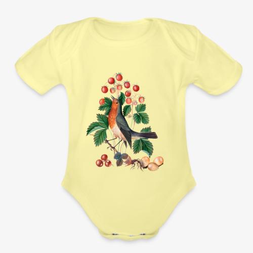 European robin - Organic Short Sleeve Baby Bodysuit