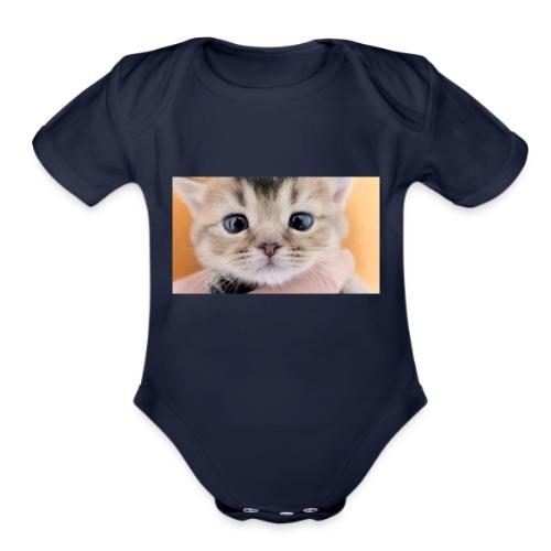 The Cutest Kitten in the World - Organic Short Sleeve Baby Bodysuit