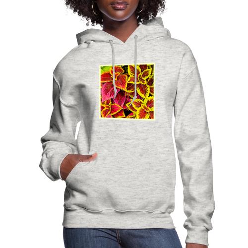 Coleus Leaf Burst Design - Women's Hoodie