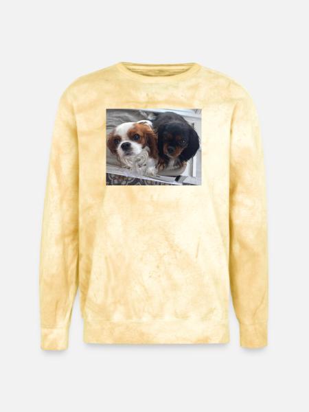 Cavalier Duo on Bench - Unisex Colorblast Crewneck Sweatshirt - citrine