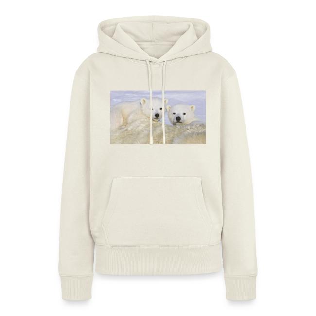 polarbears