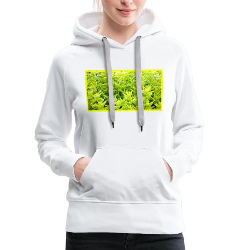 Mint Plants Cute Photo. Buy Now - Women's Premium Hoodie