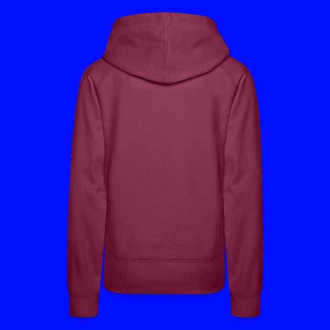 How To Be A Notre Dame Fan