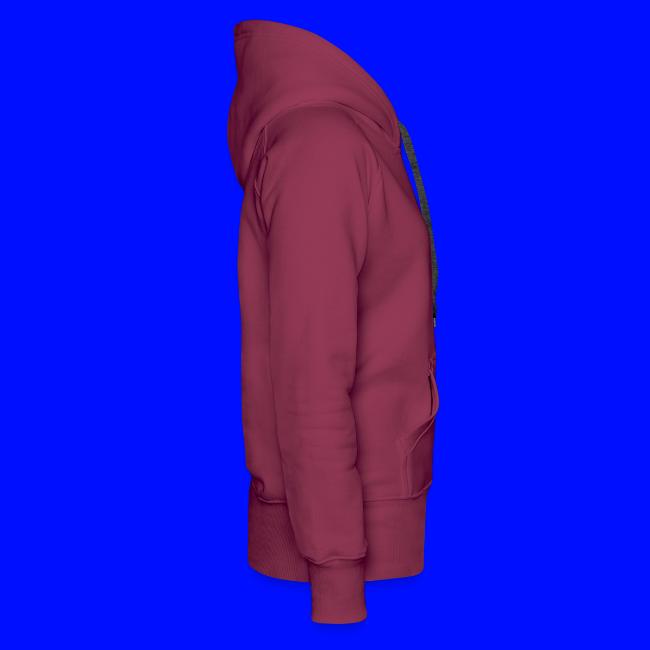 How To Be A Notre Dame Fan