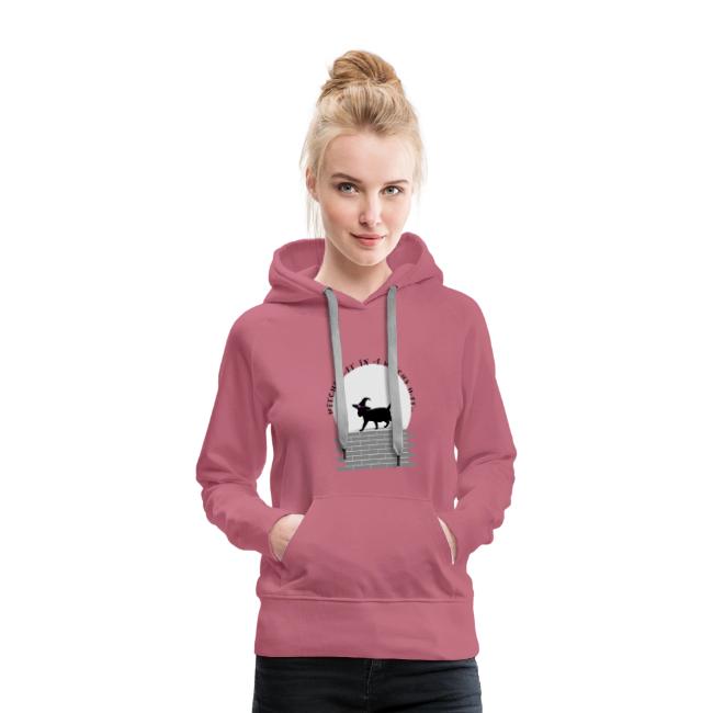 Witch's Cat In A Witch's Hat