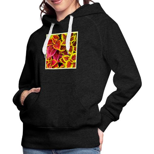 Coleus Leaf Burst Design - Women's Premium Hoodie