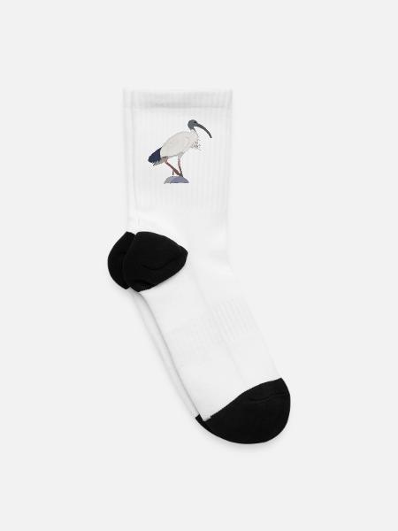 Ibis Bin Bird - Tennis Socks - white
