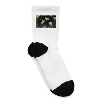 Swans in Moonlit Waters - Tennis Socks - white - Right