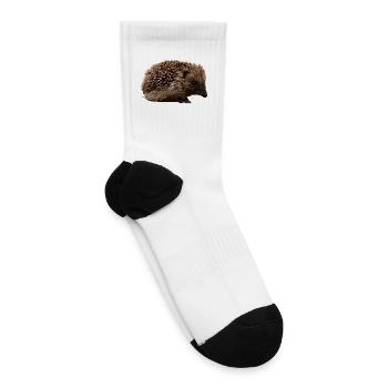 Hedgehog Dusk Spikes - Tennis Socks - white - Right