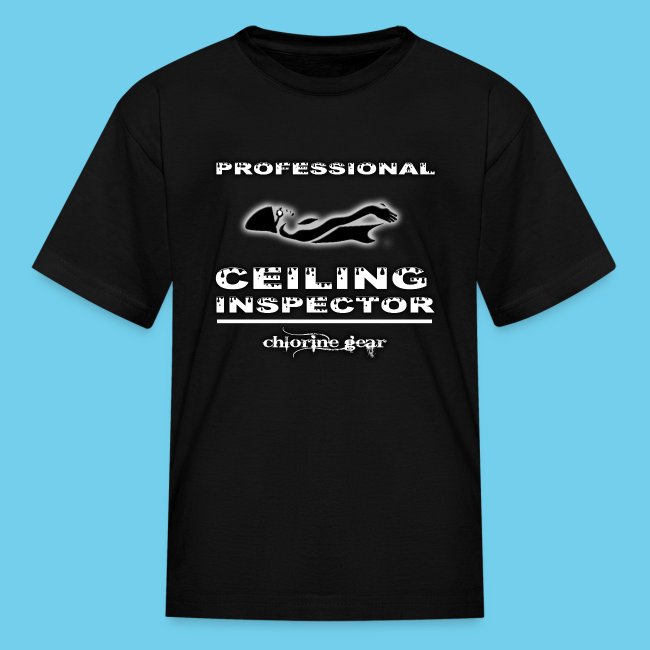 Professional Ceiling Inspector