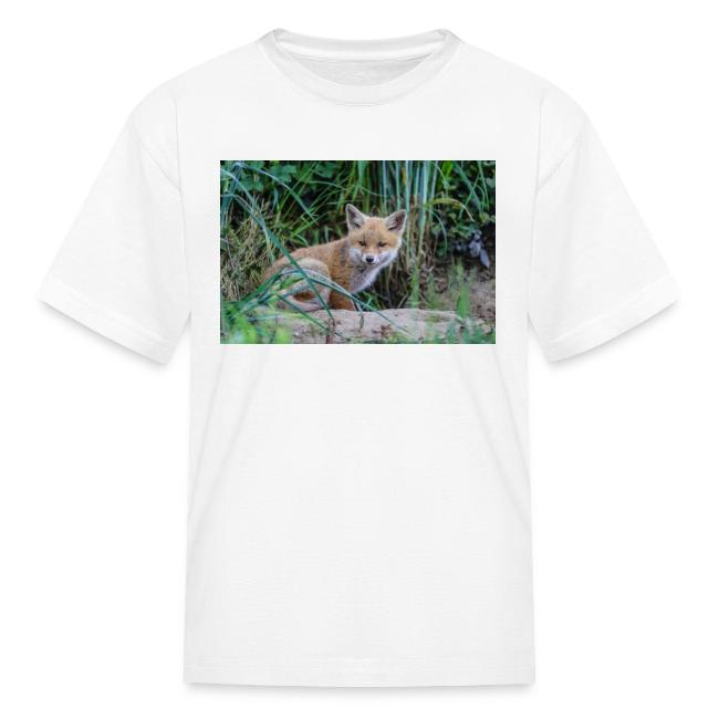 fox