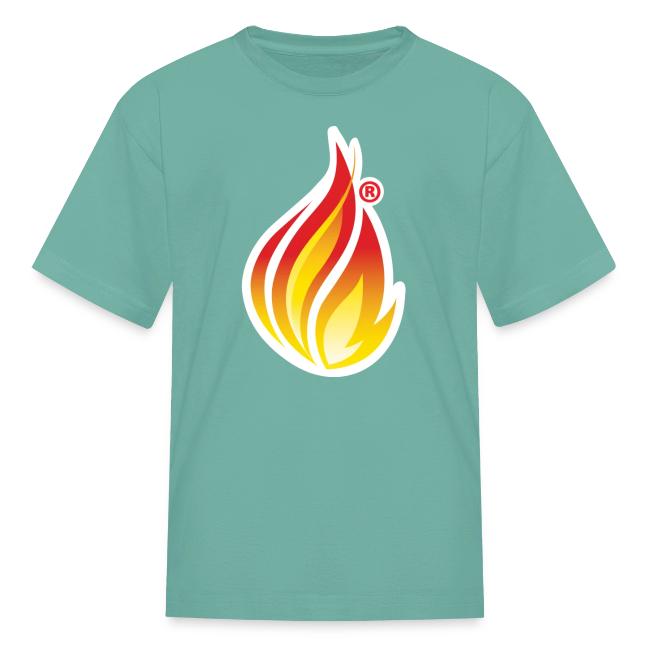 HL7 FHIR Flame graphic with white background