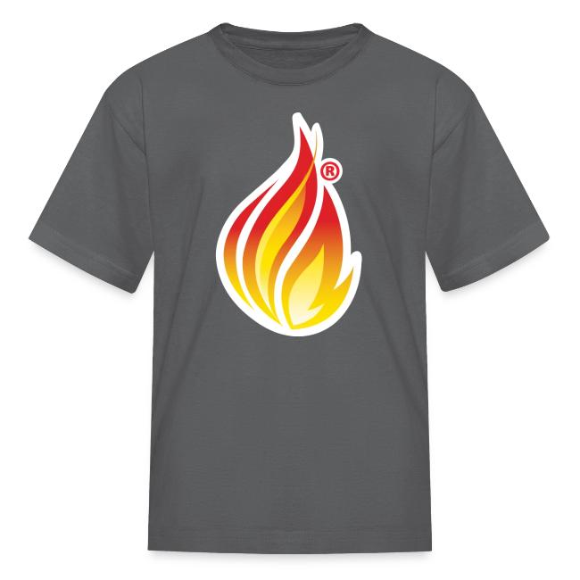 HL7 FHIR Flame graphic with white background