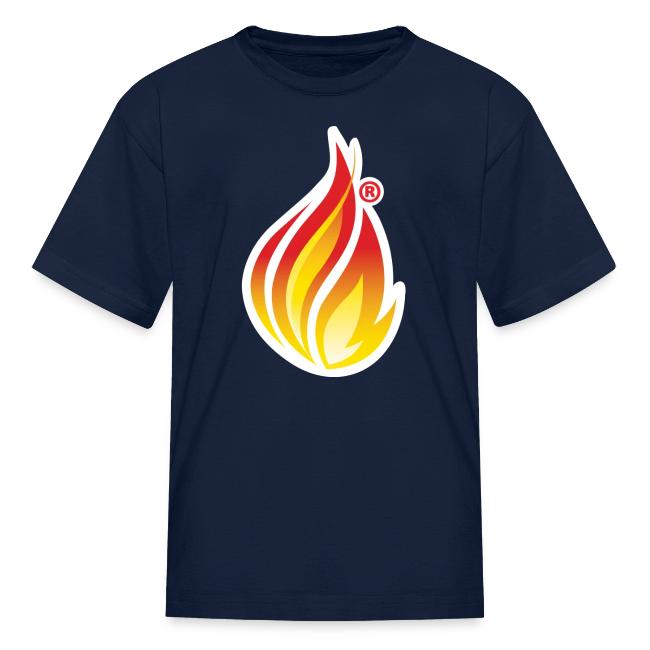 HL7 FHIR Flame graphic with white background