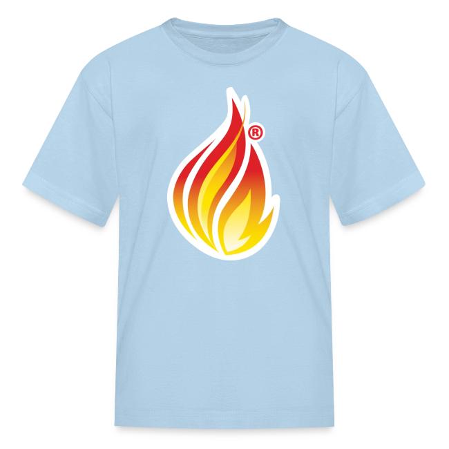 HL7 FHIR Flame graphic with white background