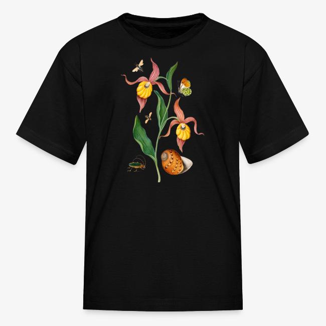 Lady Slipper Orchid