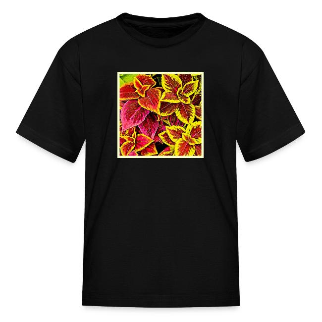 Coleus Leaf Burst Design