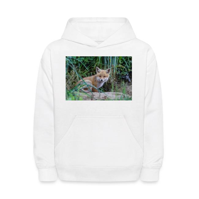 fox