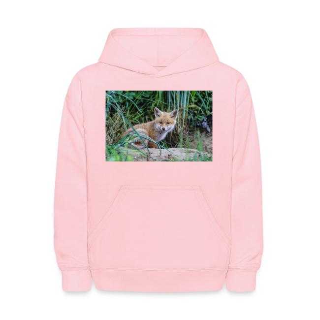 fox