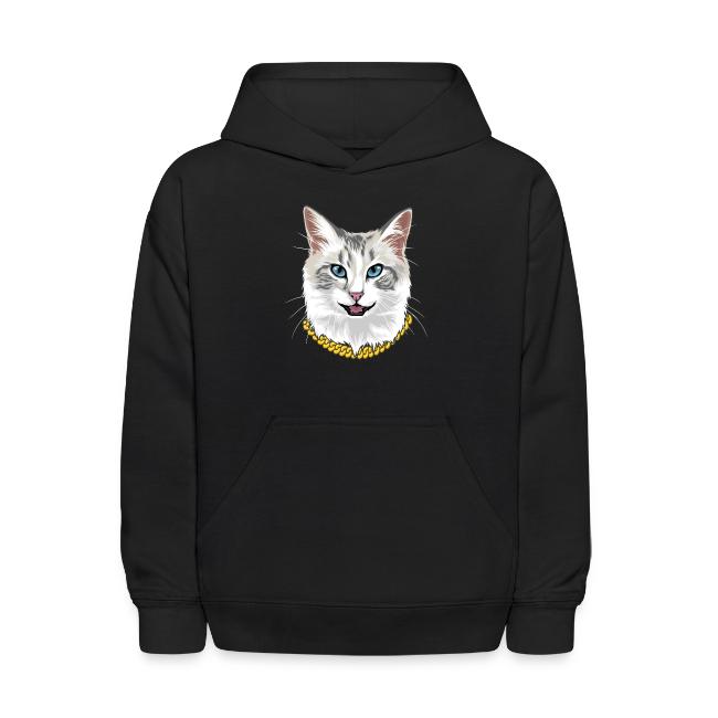 Cashmere the Cat