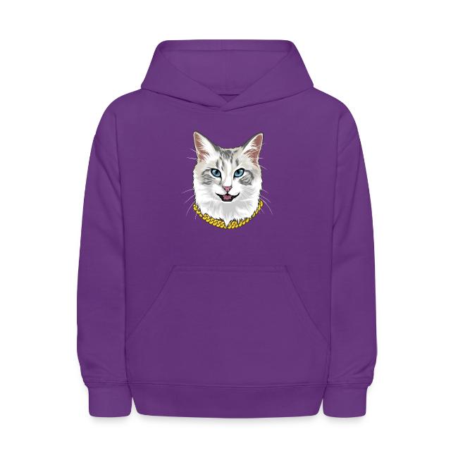 Cashmere the Cat