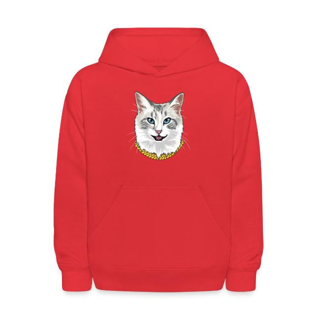 Cashmere the Cat