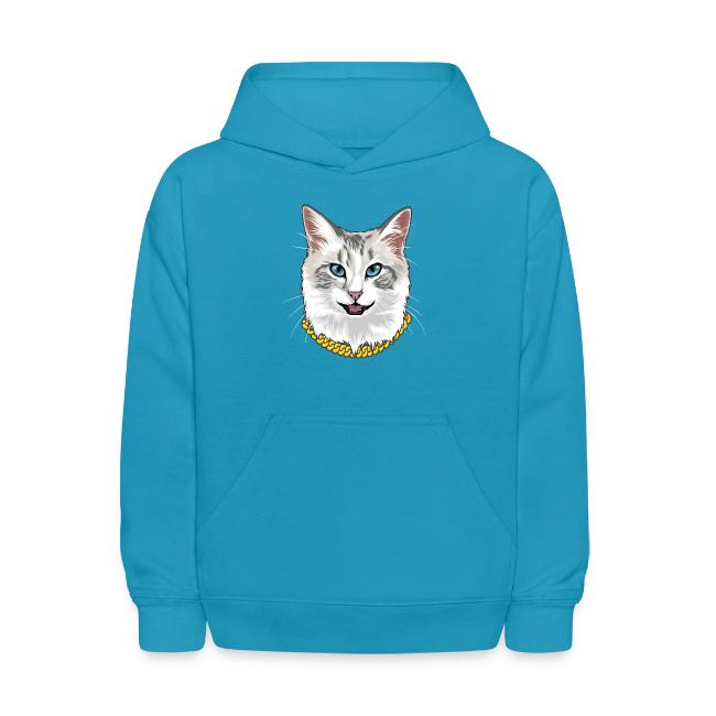 Cashmere the Cat