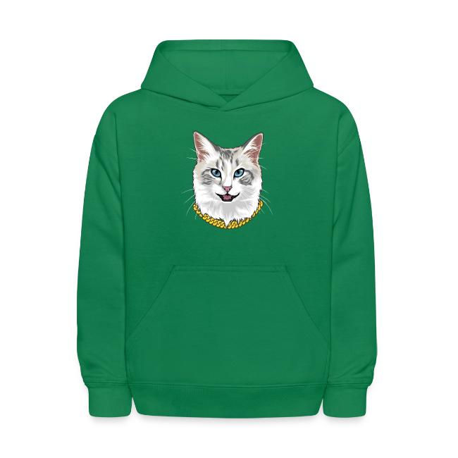Cashmere the Cat