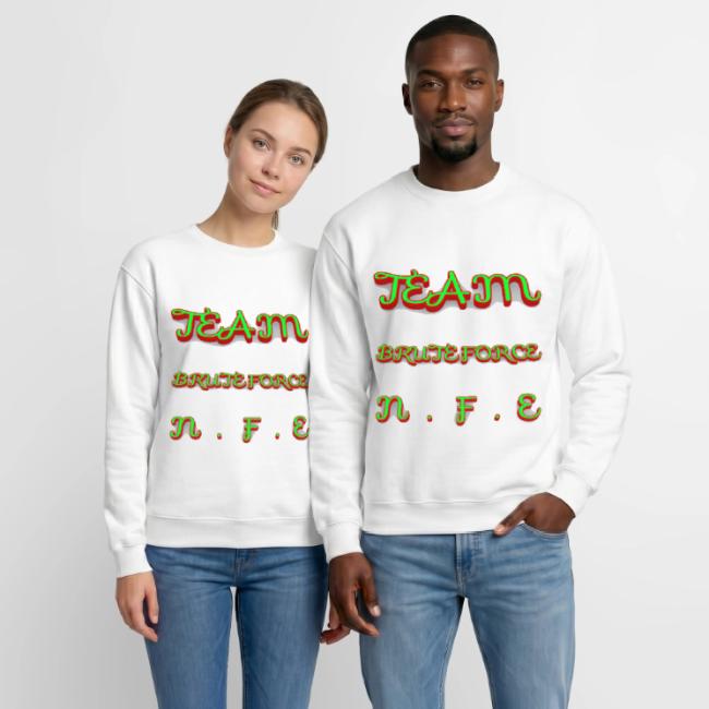 TEAM BRUTEFORCE