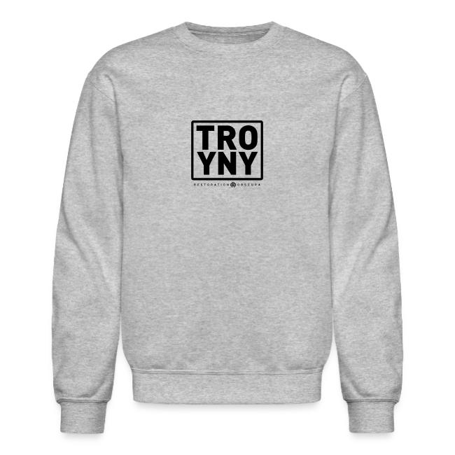 TROY NY Cube