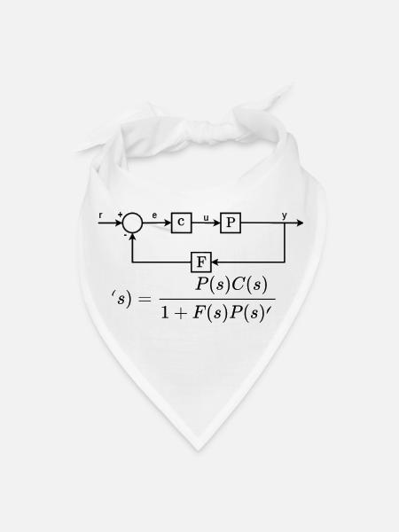 Control Theory Transfer Function Engineering - Bandana - white - Front