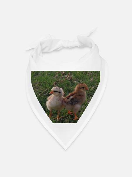 Baby Chicks in Grass - Bandana - white - Front