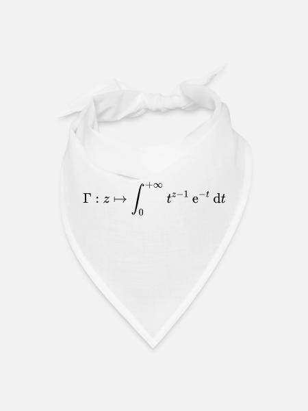 Euler Gamma Function, calculus and math basics - Bandana - white - Front