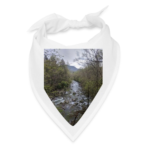 Greenbrier River in Great Smoky Mountains N. P. - Bandana