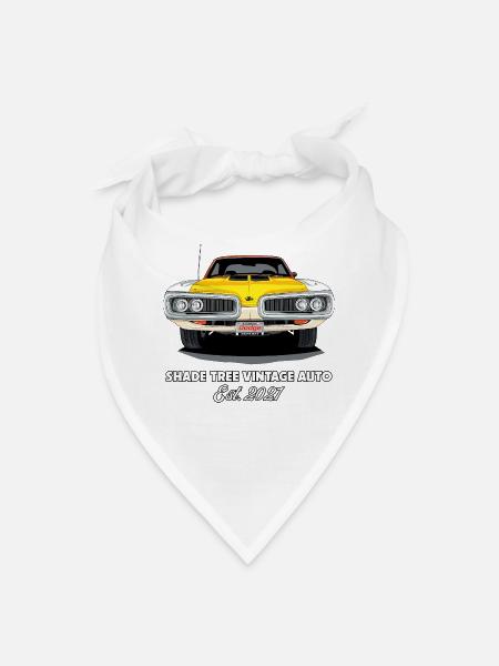 STVA Established - Bandana - white - Front