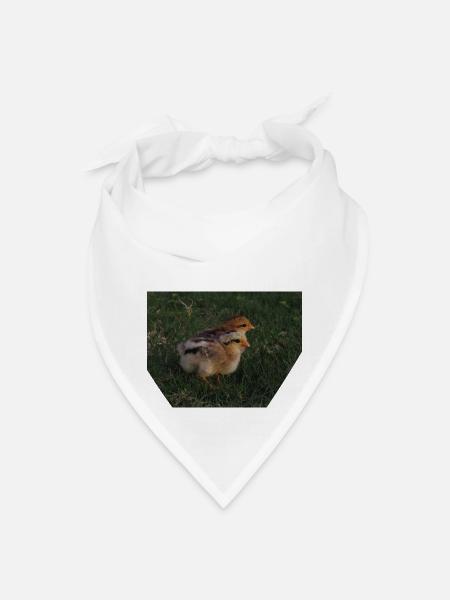 Baby Chicks in Grass 2 - Bandana - white - Front