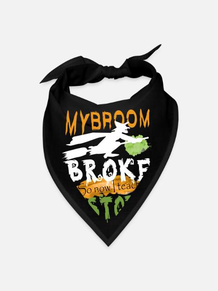My Broom Broke So Now I Teach History - Bandana - black