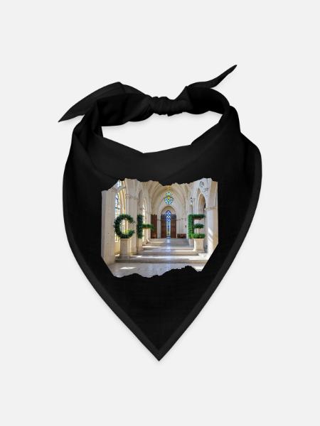 CHILE 24 15 - Bandana - black