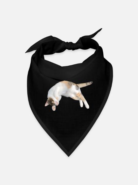 Sleeping Calico Cat - Bandana - black